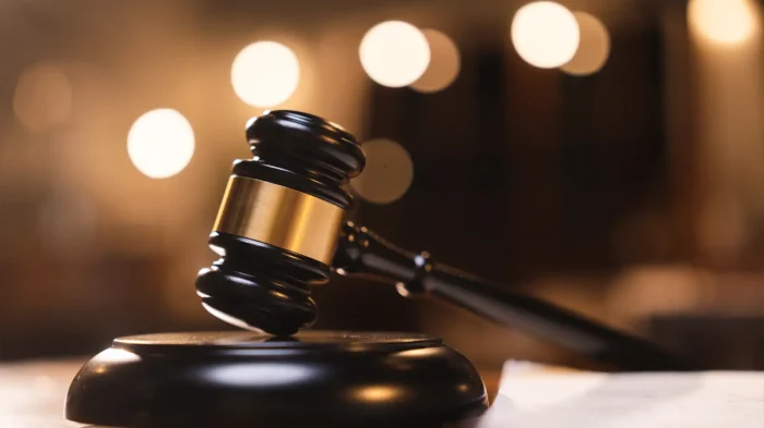 A close-up of a gavel resting on a sound block